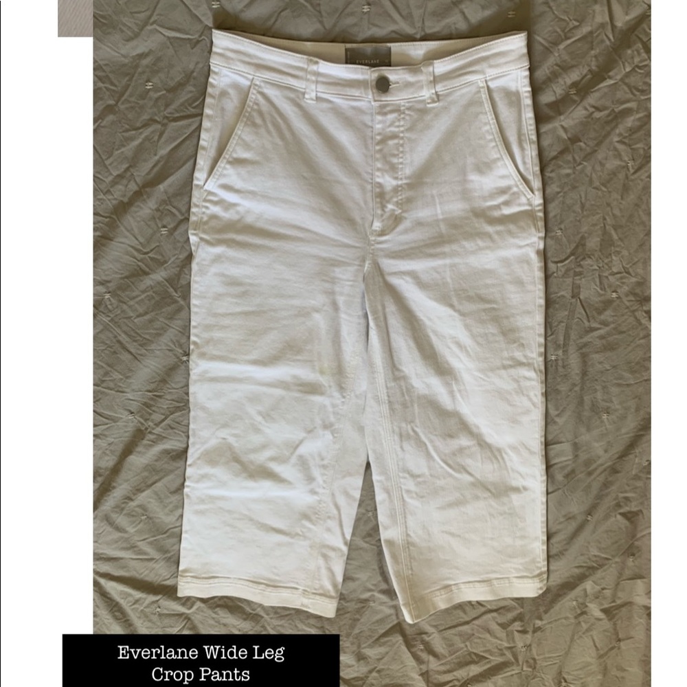 Everlane Wide Leg Cropped Pants